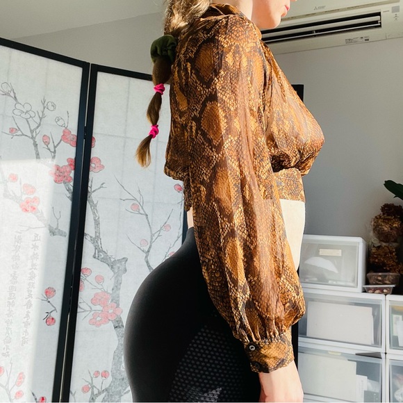 Zara Python Gold Dramatic Balloon Sleeves Sheer Crop Top - Picture 9 of 16